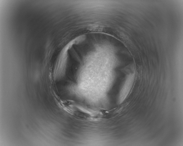 X0000070161154200606091407
