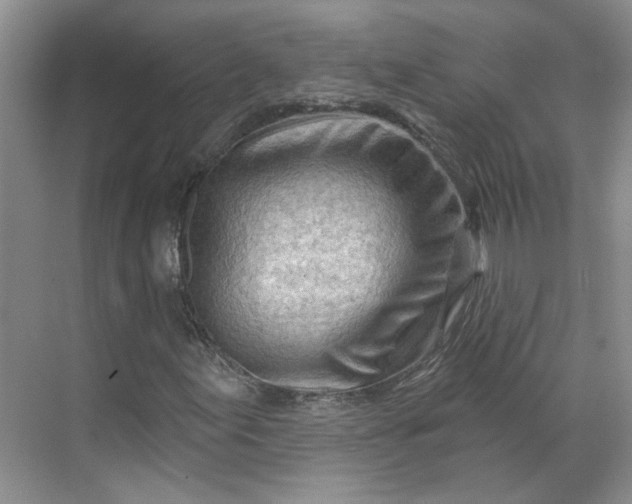 X0000070161155200606091407