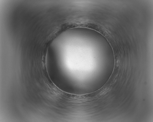 X0000070161156200606091407
