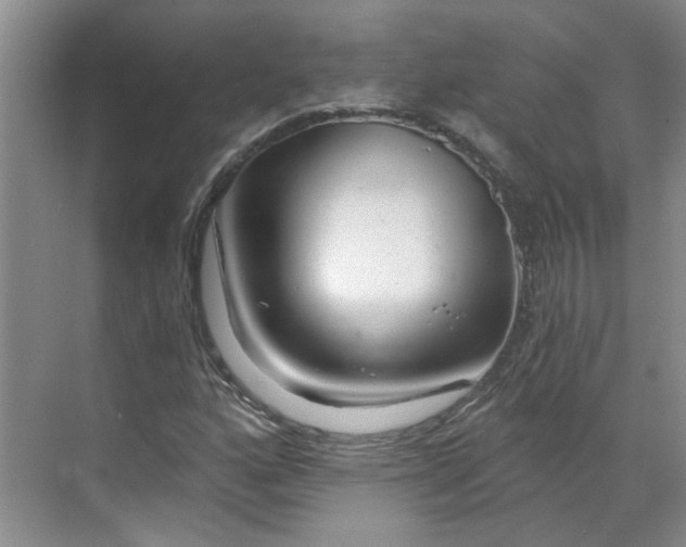 X0000070161160200606091407