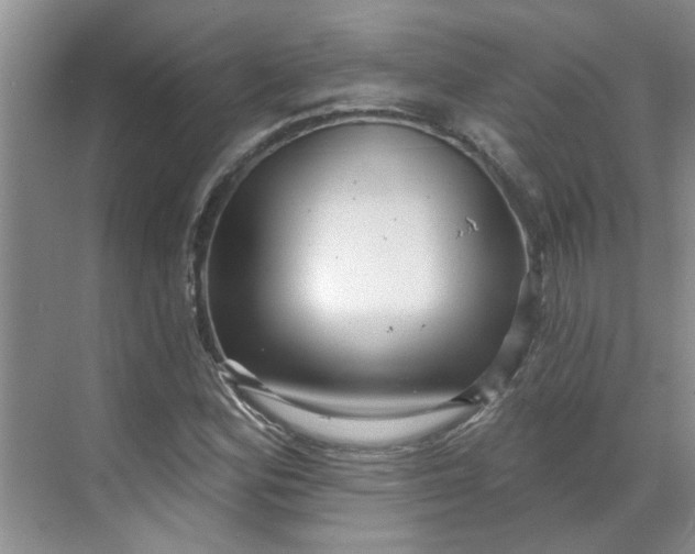 X0000070161164200606091407