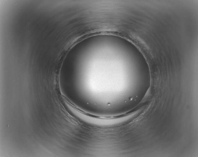X0000070161169200606091407