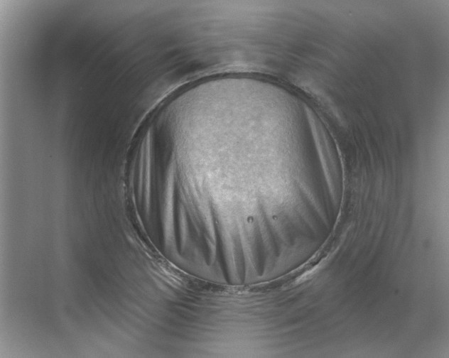 X0000070161170200606091407