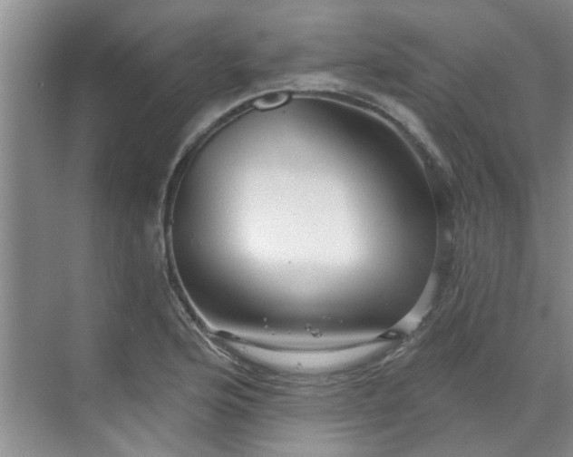 X0000070161176200606091407