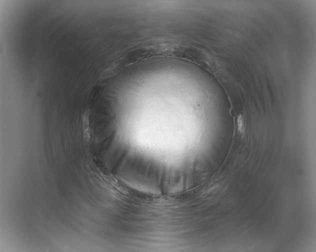 X0000070161203200606091406