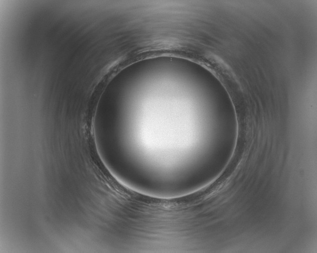 X0000070161210200606091406