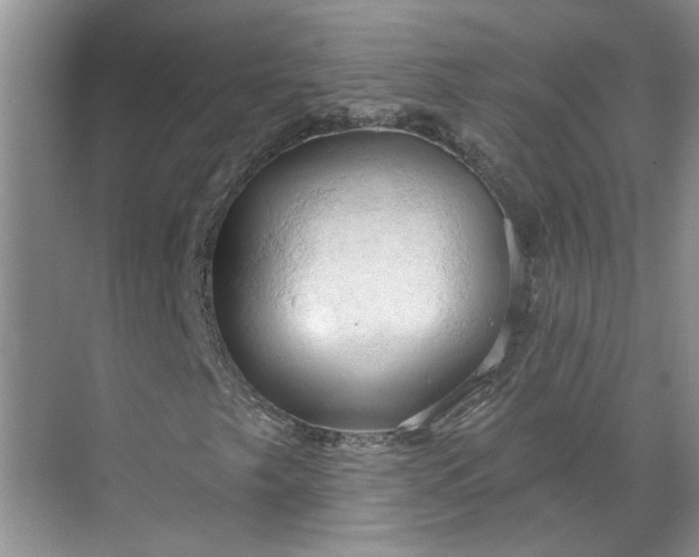 X0000070161249200606091406