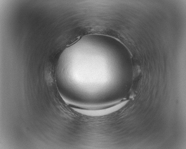 X0000070161250200606091406