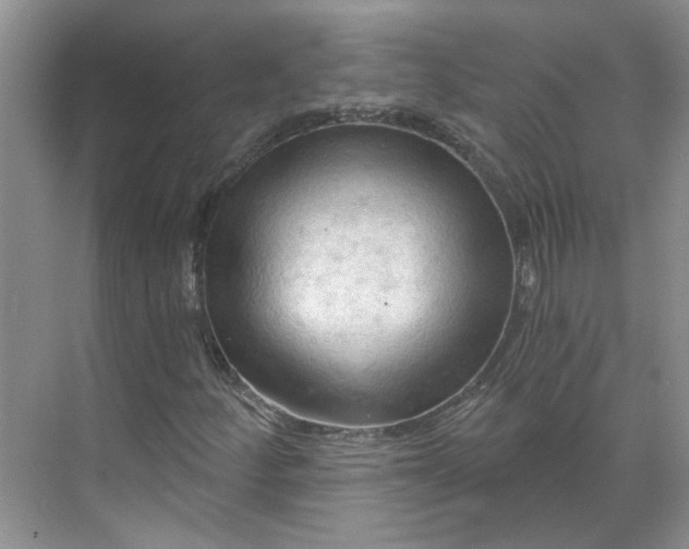 X0000070161252200606091406