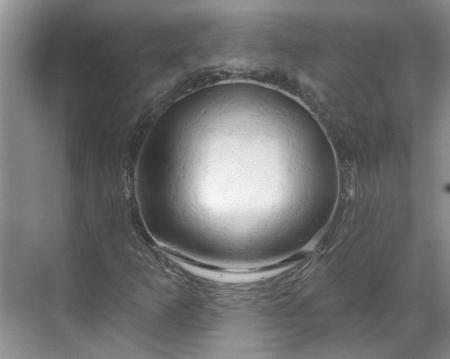 X0000070161253200606091406