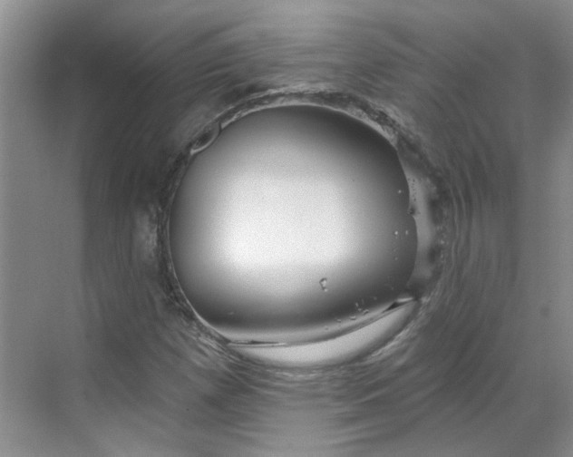 X0000070161257200606091406
