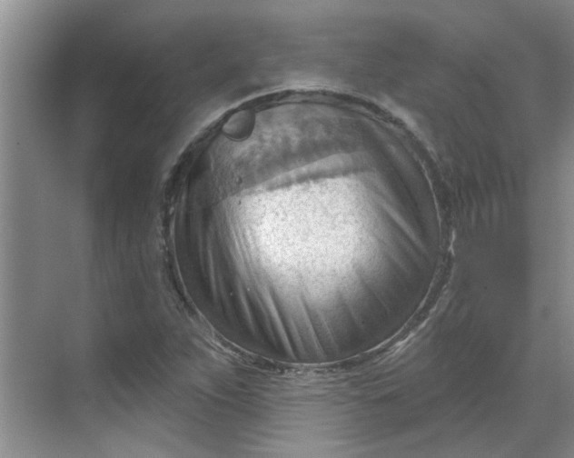 X0000070161263200606091405