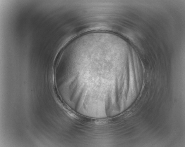 X0000070161274200606091405