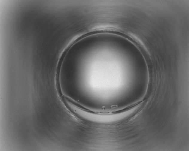 X0000070161277200606091405
