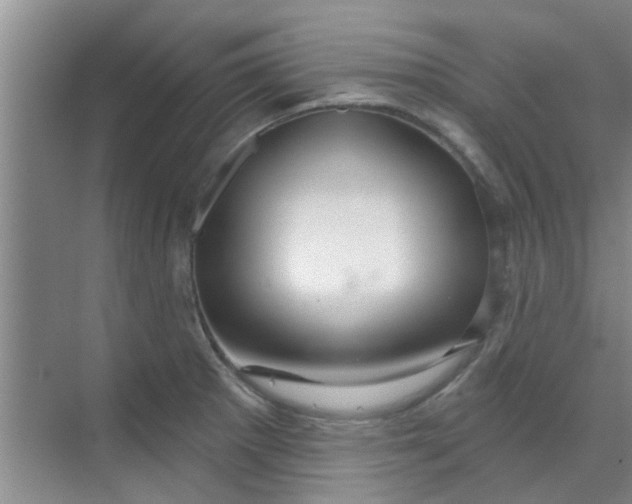 X0000070161281200606091405