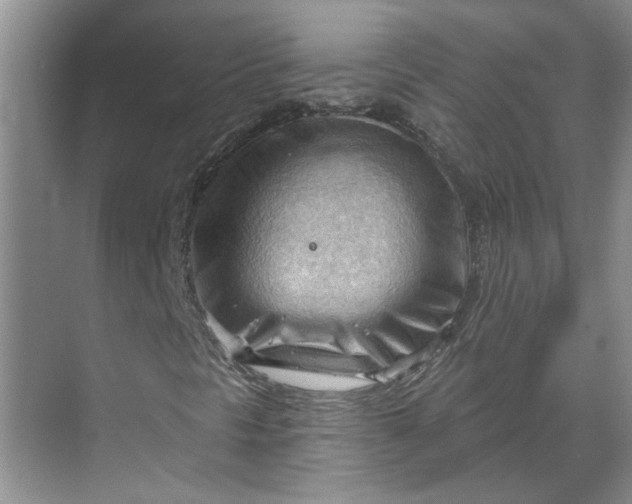 X0000070161297200606091404