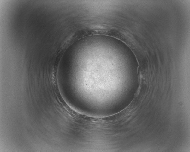 X0000070161298200606091404