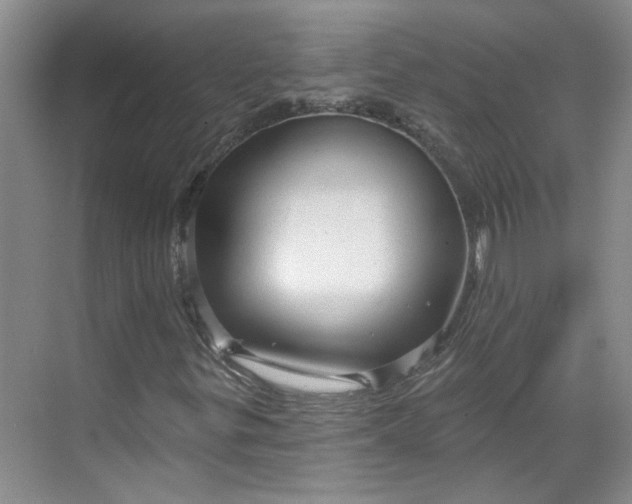 X0000070161299200606091404