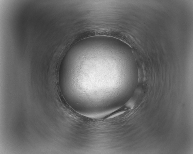 X0000070161345200606091404