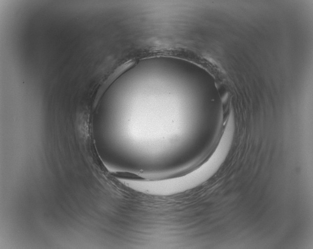 X0000070161348200606091404