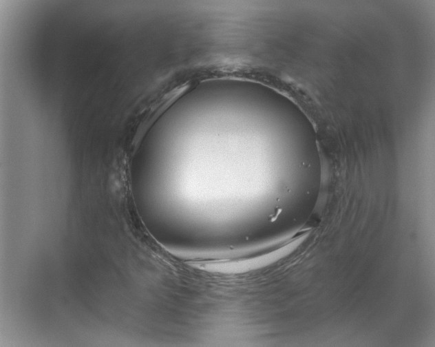 X0000070161349200606091404