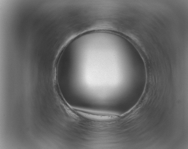 X0000070161366200606091404