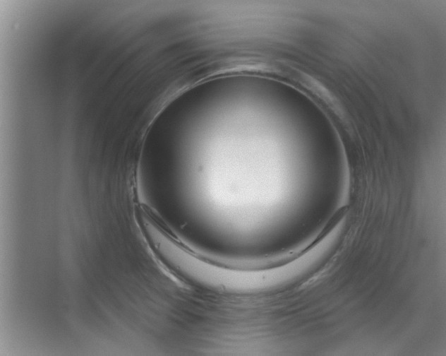 X0000070161377200606091404