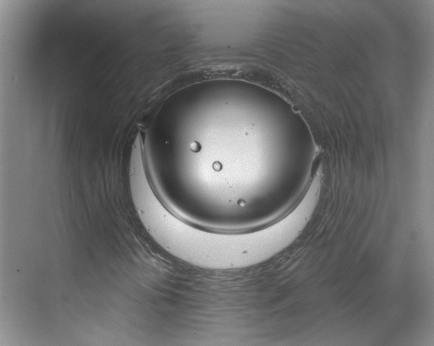 X0000070161394200606091403