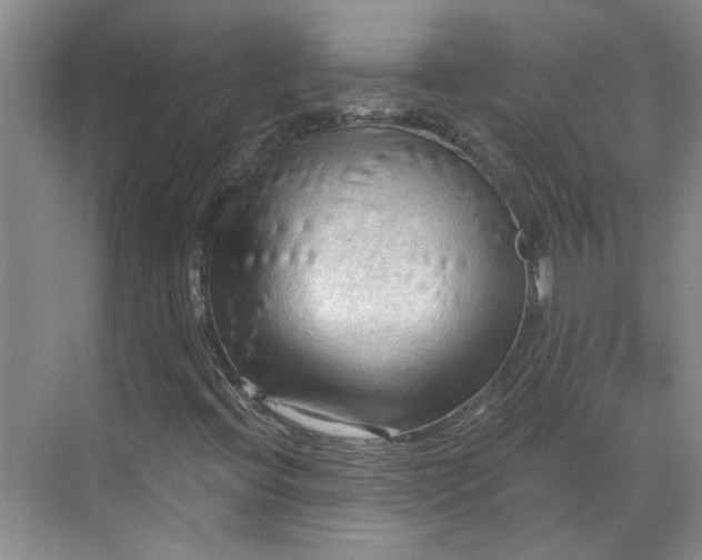X0000070161396200606091403