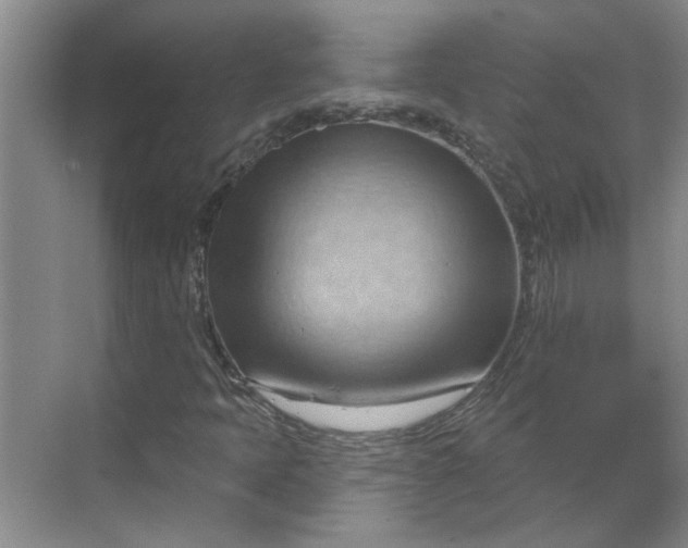 X0000070161397200606091403