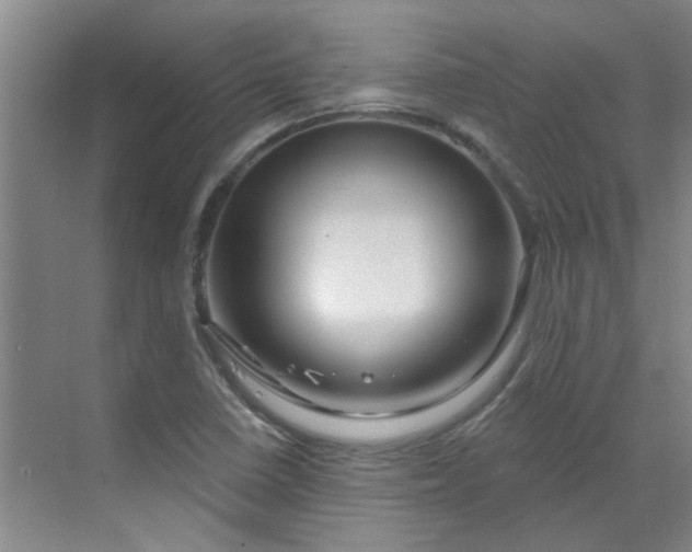 X0000070161410200606091403