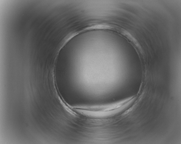 X0000070161425200606091403