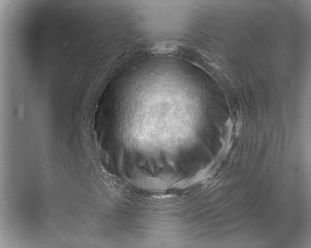 X0000070161441200606091403