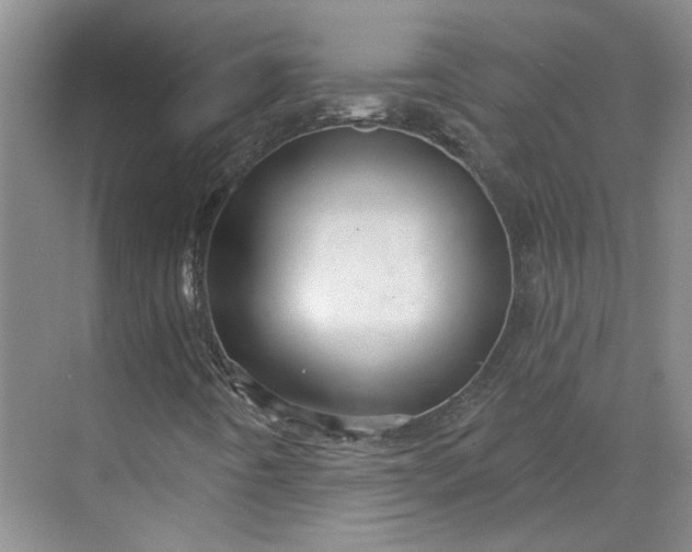 X0000070161442200606091402