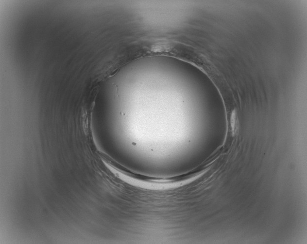 X0000070161443200606091402