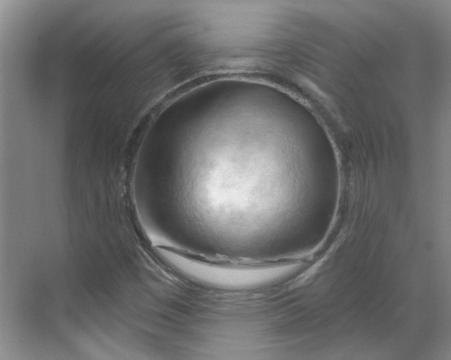 X0000070161449200606091402
