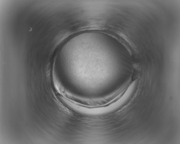 X0000070161450200606091402