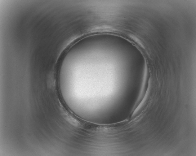 X0000070161458200606091402