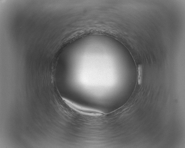 X0000070161491200606091401