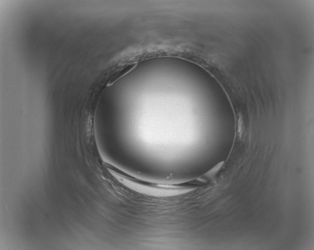 X0000070161492200606091401