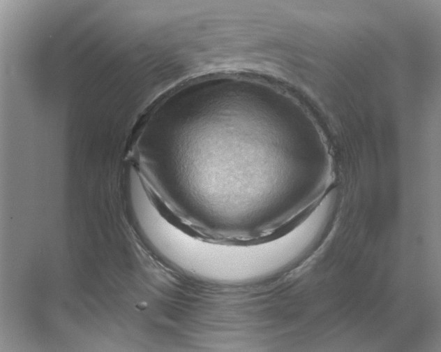 X0000070161497200606091401