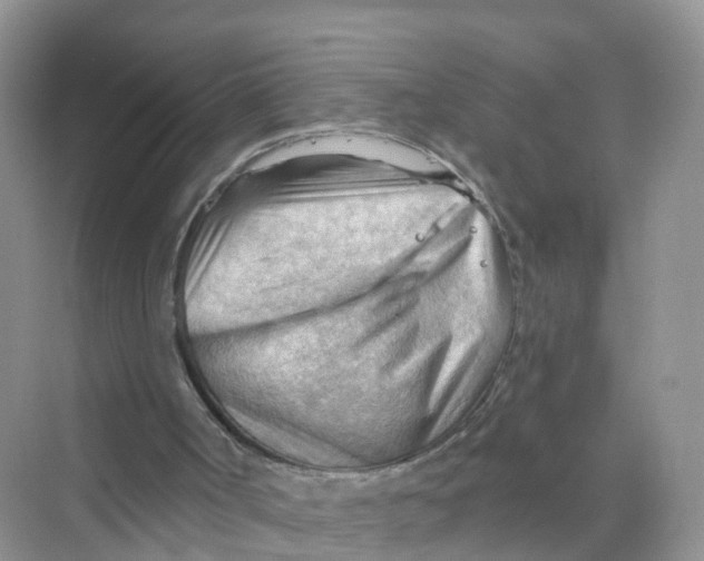 X0000070160002200606162042