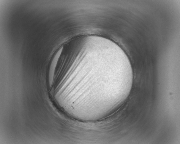 X0000070160010200606162042