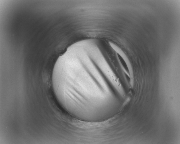 X0000070160031200606162041