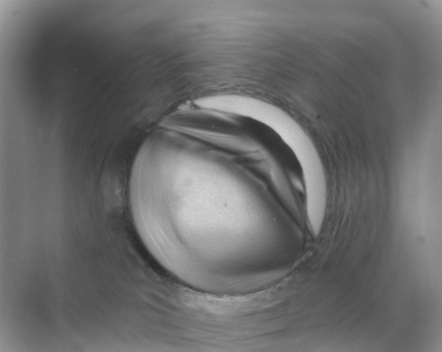 X0000070160039200606162041