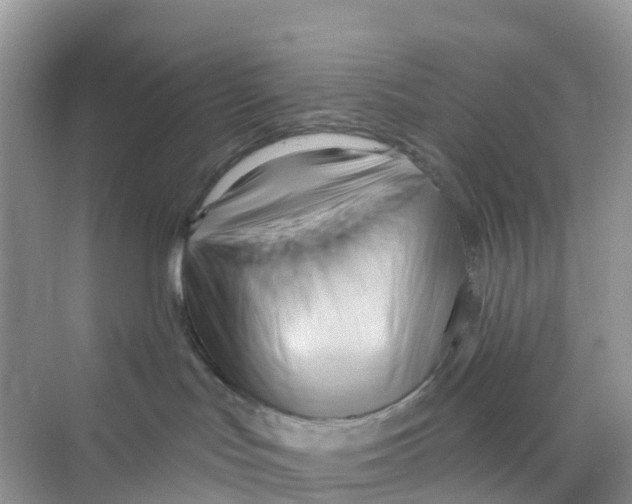 X0000070160047200606162041