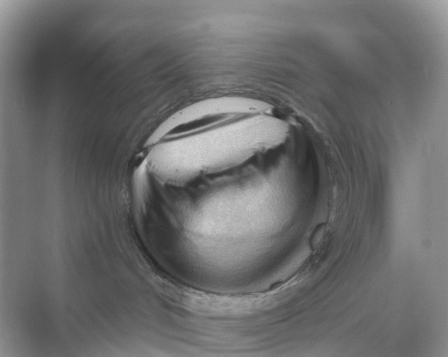 X0000070160048200606162041
