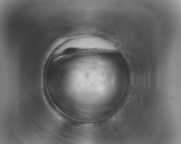 X0000070160054200606162040