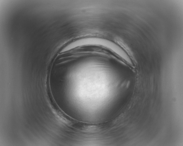 X0000070160058200606162041