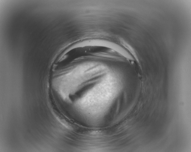 X0000070160059200606162041